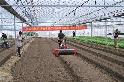機械強農(nóng) 寧波現(xiàn)代農(nóng)業(yè)的科技新篇章